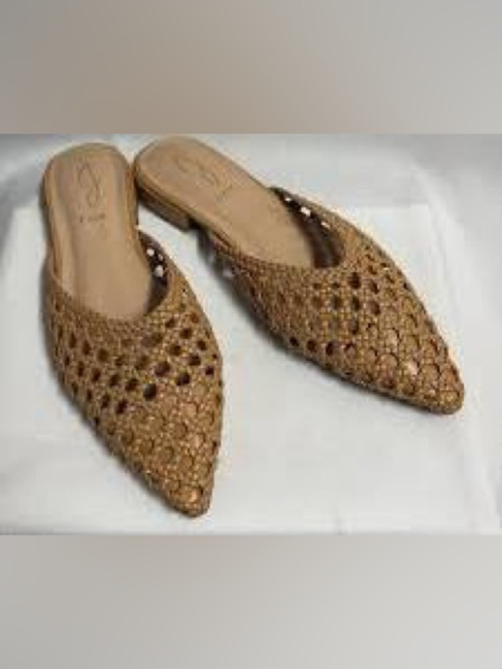 Joie "Behold" Beige Woven Flat Mule
